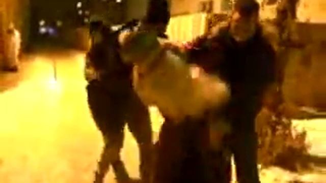 Наша -Новогодняя- сказка.flv смотреть онлайн