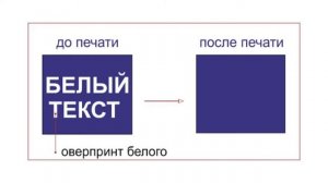 Как подготовить макет к печати в Adobe Illustrator (углубленная версия)