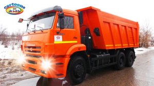 Изучаем транспорт и спецтехнику для детей / Развивающее видео для самых маленьких