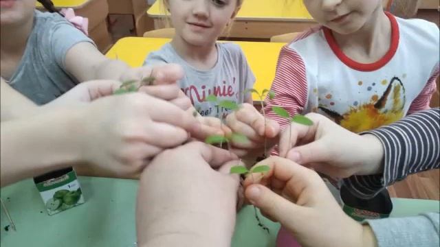 огород на подоконнике смотреть онлайн