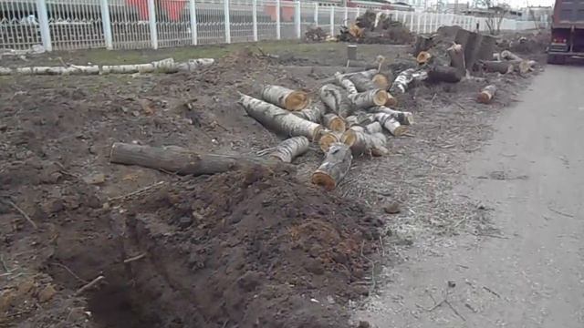 Закат Рассветной аллеи смотреть онлайн