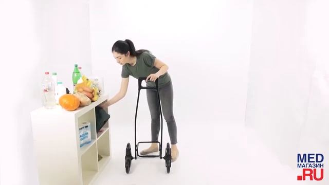Сумка тележка Garmol Nylon шасси 3х3 смотреть онлайн