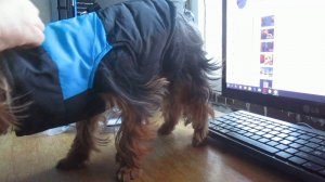 2019г декабря. ЖИЗНЬ В ГЛУБИНКЕ / РАСПАКОВКА ПОСЫЛОК ИЗ КИТАЯ / ОЖИДАНИЕ - РЕАЛЬНОСТЬ №9