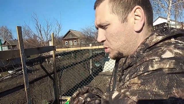 Бесплатный корм курам 21 серия смотреть онлайн