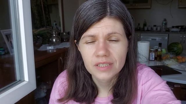 vlog 35. В Стамбуле 90 дней. Турция дает 180 дней для украинца. Прогулка по Босфору. смотреть онлайн