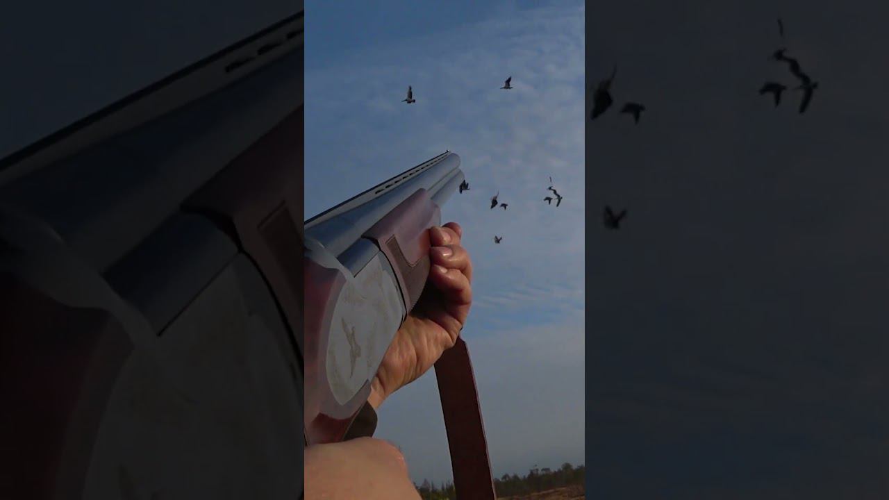 3 гуся с одного выстрела \ goose hunting смотреть онлайн