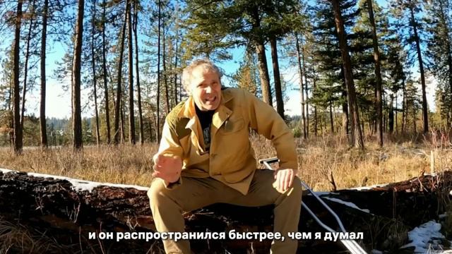 Если вы смотрите на меня - я мертв. смотреть онлайн