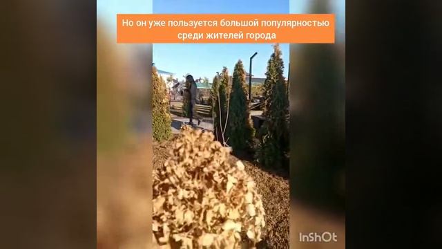 Октябрьский. Башкортостан смотреть онлайн