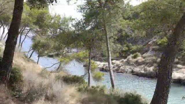 майорка 2010г.wmv смотреть онлайн