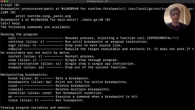 Go (Golang) Debugging with Delve смотреть онлайн