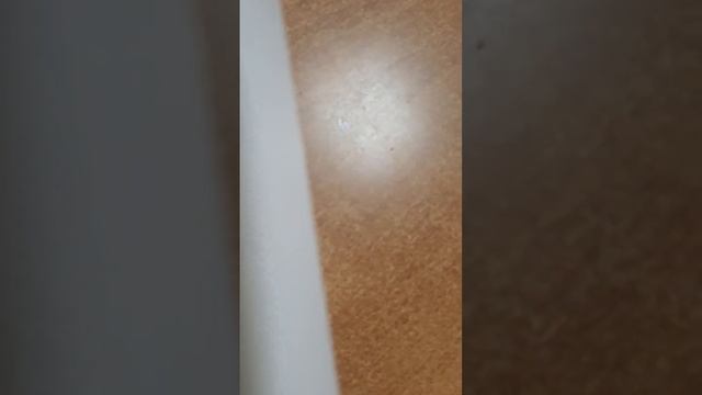 Электропогонялка для быков крс свиней смотреть онлайн