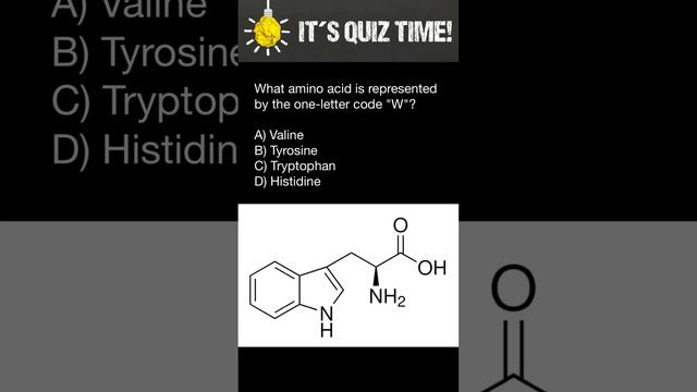 Amino acids's one letter code quiz - 8 смотреть онлайн