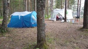 Отдых с палатками на Волге в Ярославской области. Некрасовский район. Кемпинг в "Черном лесу"