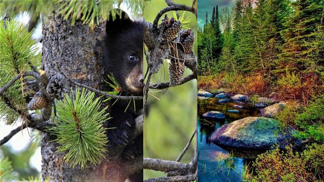 ✔ *Важно* «Хроники Акаши ~ Владыка Мельхиседек !» *Бог* ~ смотреть онлайн