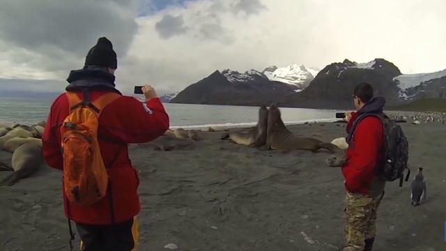 ✅Край земли. Антарктида во льдах, почему? книга Эрик дубэй. смотреть онлайн