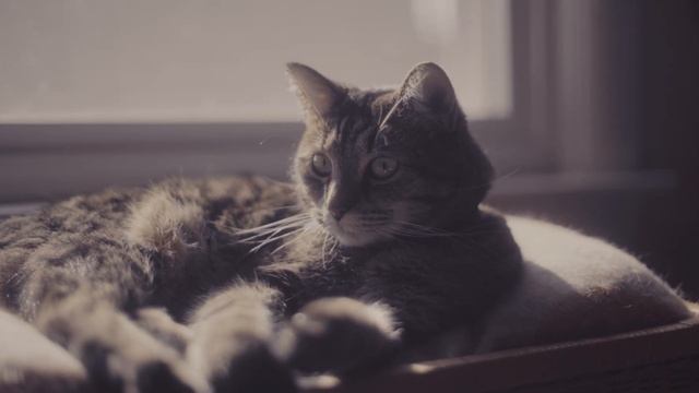 Panasonic S! - VLOG - DCI 4K - Vintage Film Lut Test смотреть онлайн