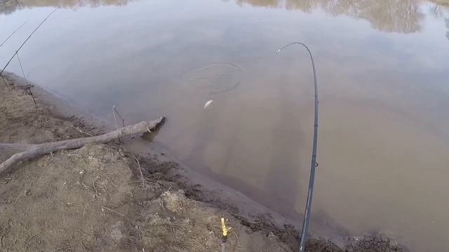 Минтай не пришел, ловим красноперку смотреть онлайн