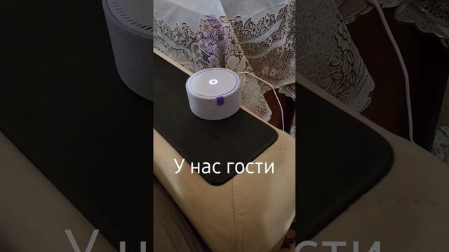 Алиса и гости смотреть онлайн