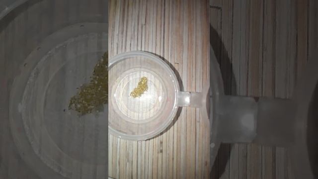 Делаю джагл слайм смотреть онлайн