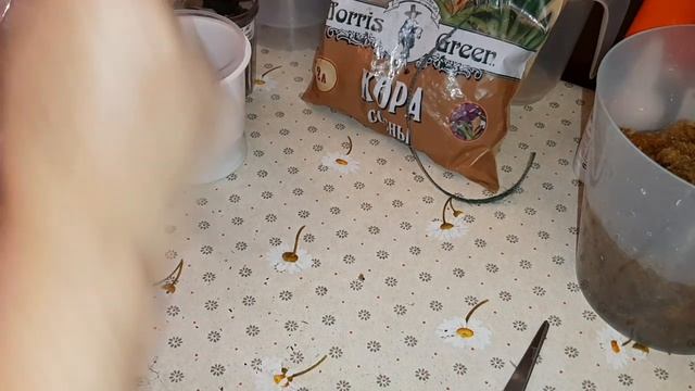 Посадка Орхидей на Блок | Dendr. Unicum | Мини Орхидея | 25.03.2020 смотреть онлайн