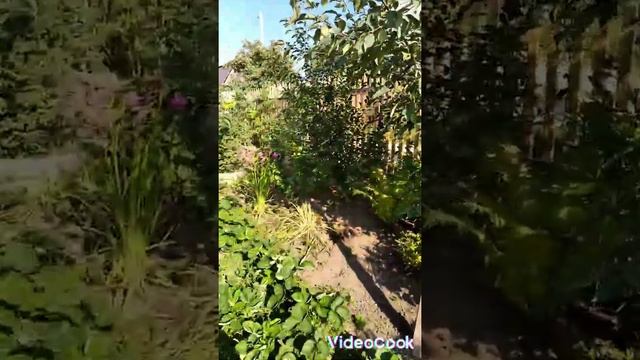 Последние выходные августа, прощай лето😍до новых встреч❤️ смотреть онлайн