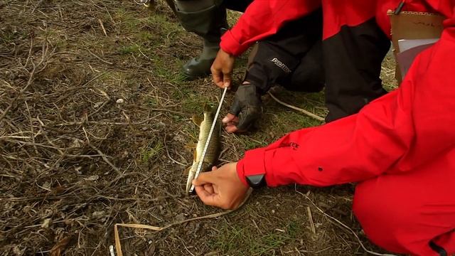 Турнир Трофеи Авалона. Третий этап. Ловля хищной рыбы на спиннинг с берега джиговыми приманками. смотреть онлайн