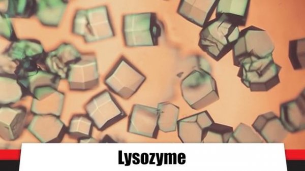 Alexander Fleming: The Father of Antibiotics