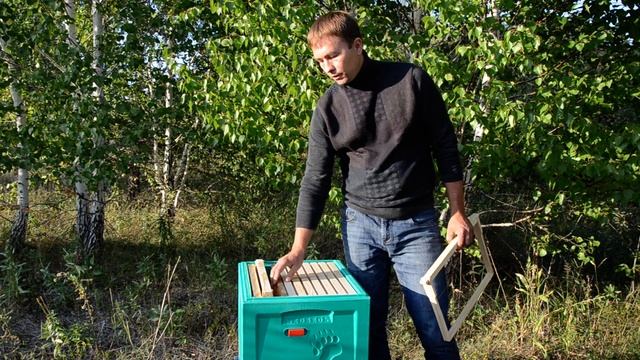 Заставная Медведь смотреть онлайн