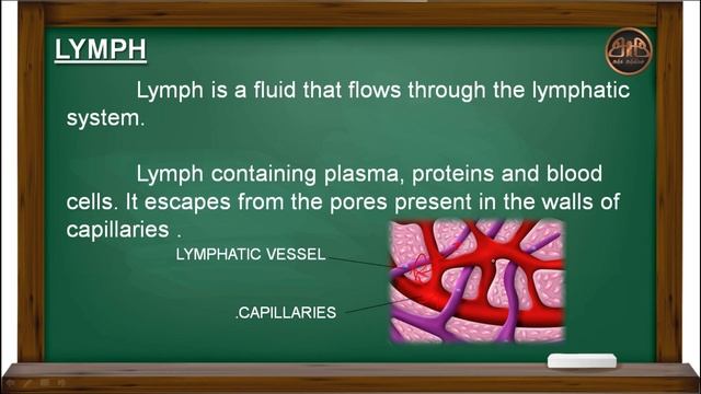 Lymphatic system | Functions of lymphatic system with animated video in tamil | Class 10 смотреть онлайн
