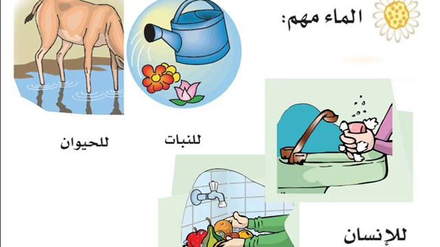 Школьная Программа Саудии - Таухид - 1 класс - 2 урок! Фикх, Таухид, Коран