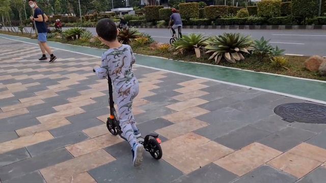 Review URBAN SCOOTER - Otopet disk brake смотреть онлайн