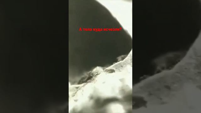 Сколько лет человечеству? смотреть онлайн