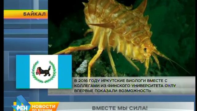 Про нас: Байкал - точка притяжения иностранных учёных