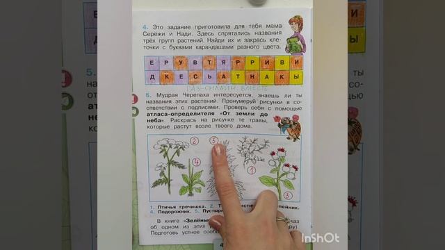 2 класс. ГДЗ. Окружающий мир. Рабочая тетрадь. Плешаков. Часть 1. Страницы 39-41. С комментирование смотреть онлайн