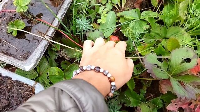 ?♂️Где взять песок на участке?♂️ и что потом делать с ямой??♂️ смотреть онлайн