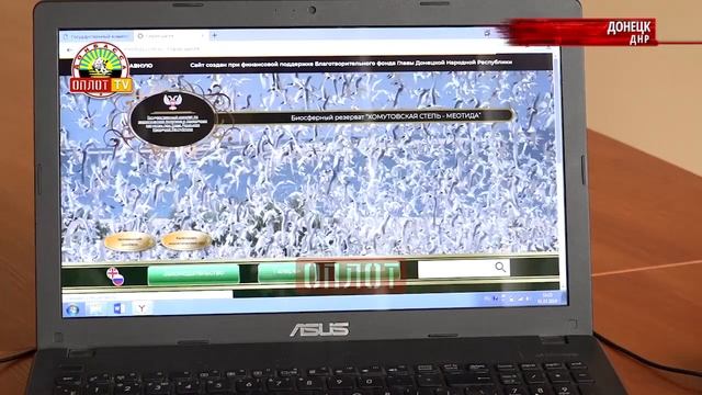 • Уникальные фотографии и видео из заповедника «меотида» на новом сайте смотреть онлайн