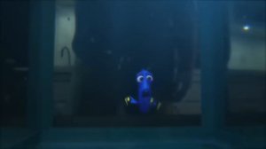 в поисках немо 2