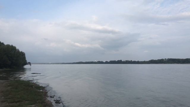 Река Обь в сентябре. Шум волн. Осенний релакс звуки реки. Новосибирск. смотреть онлайн