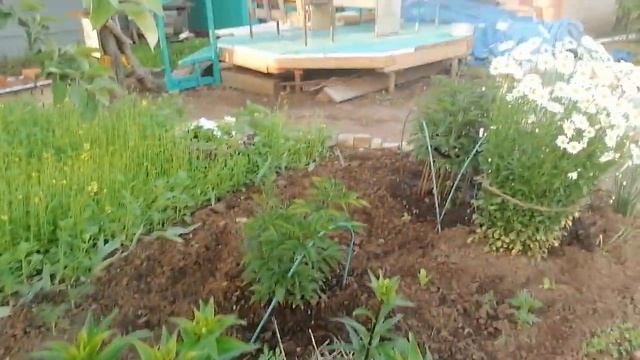 Хочу на Дачу. Лето-2022. Утепление фасада дачного домика. смотреть онлайн