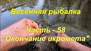 Весенняя рыбалка. Часть - 58. «Окончание икромета».