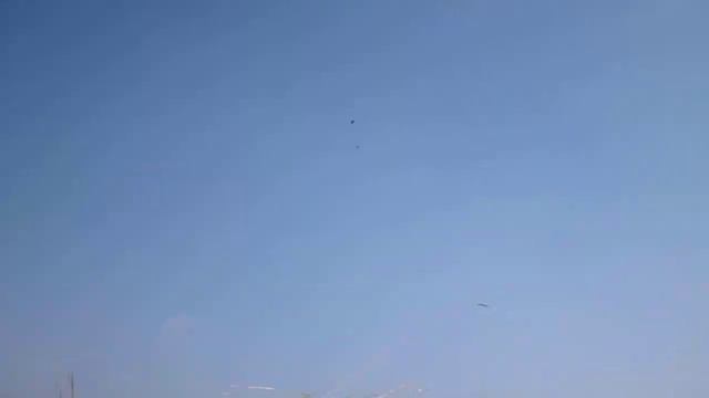 Весенняя охота 2013 смотреть онлайн