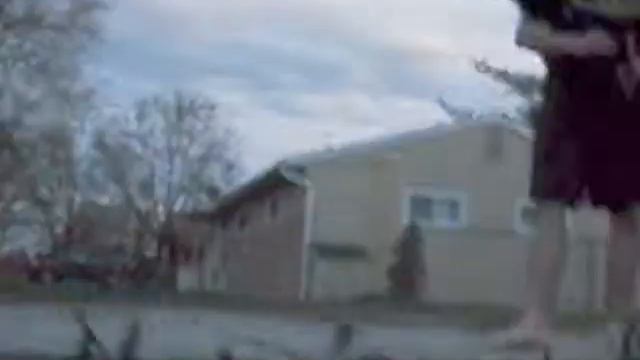dog attacks rc car on bored camera IN 3D!!!! смотреть онлайн
