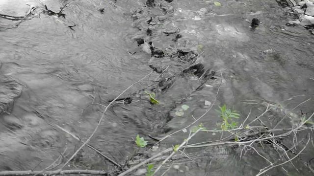 Я NIKON D5100 смотреть онлайн