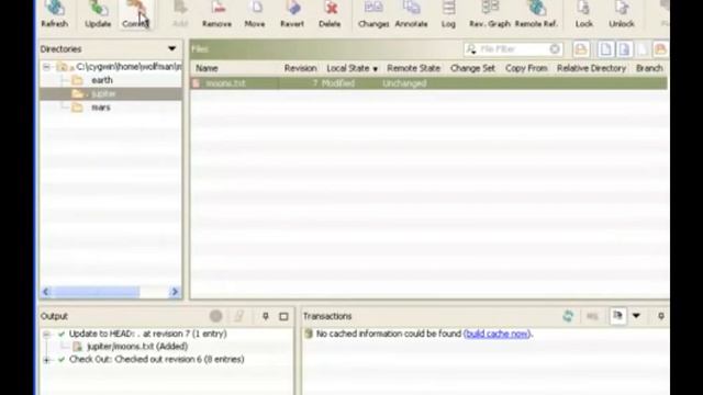 Version Control |Version |Subversion |svn tutorial | version control system | data version control смотреть онлайн
