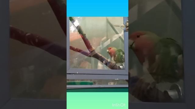 28 января 2024 г. смотреть онлайн