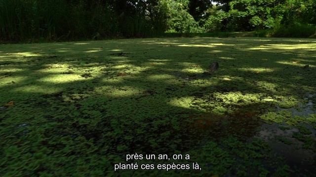 Congrès nature - Trame verte à Rueil-Malmaison смотреть онлайн