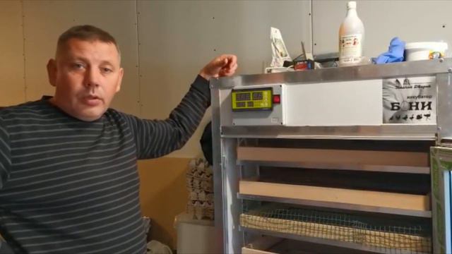 Обзор инкубатора БОНИ: много минусов и один плюс. "Мое Подворье" смотреть онлайн