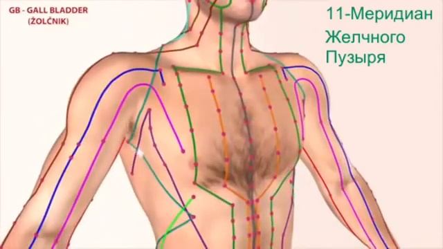 11 Меридиан Желчного пузыря смотреть онлайн