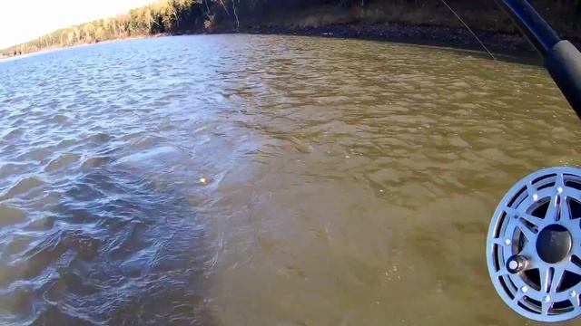 Ловля хариуса в мутную воду ☝Рыбалка на реке Бия смотреть онлайн