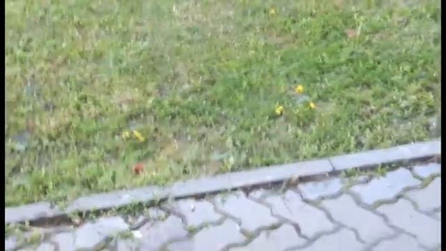 Град в Ростовской области 12.05.2015 смотреть онлайн